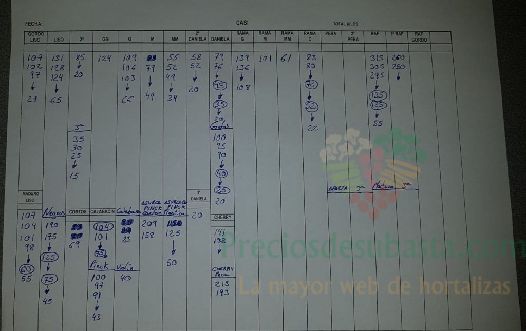 Subasta hortofrutícola CASI 20 de Octubre