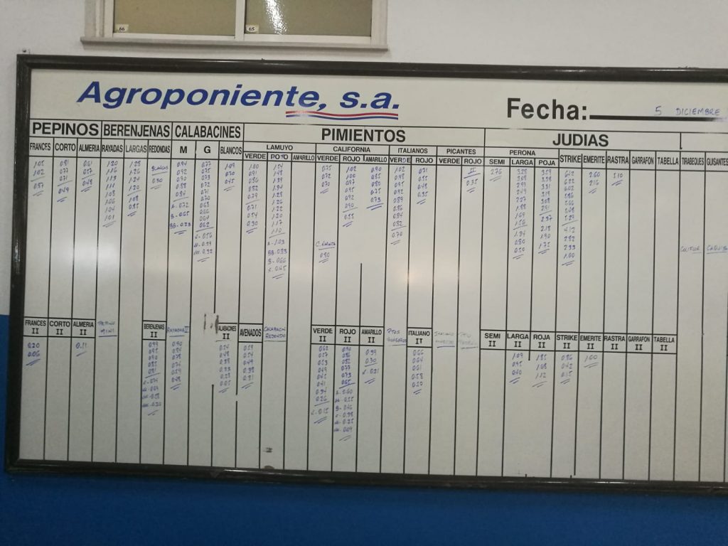 Pizarra Agroponiente La Redonda 5 de Diciembre