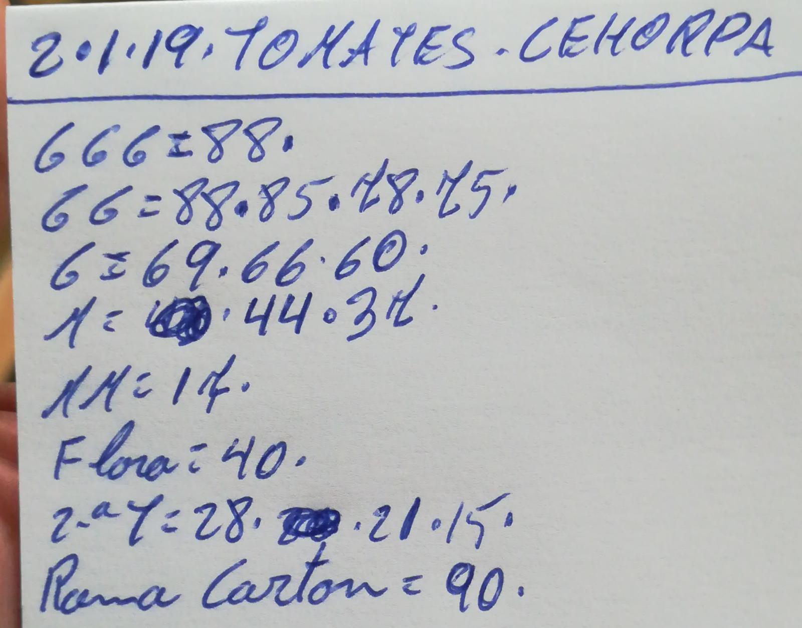 Subasta hortofrutícola Costa de Almería Cehorpa Tomates 2 de Enero 2019