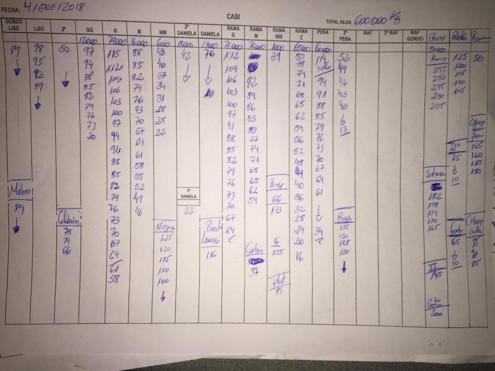 Subasta hortofrutícola CASI 4 de Enero 2019