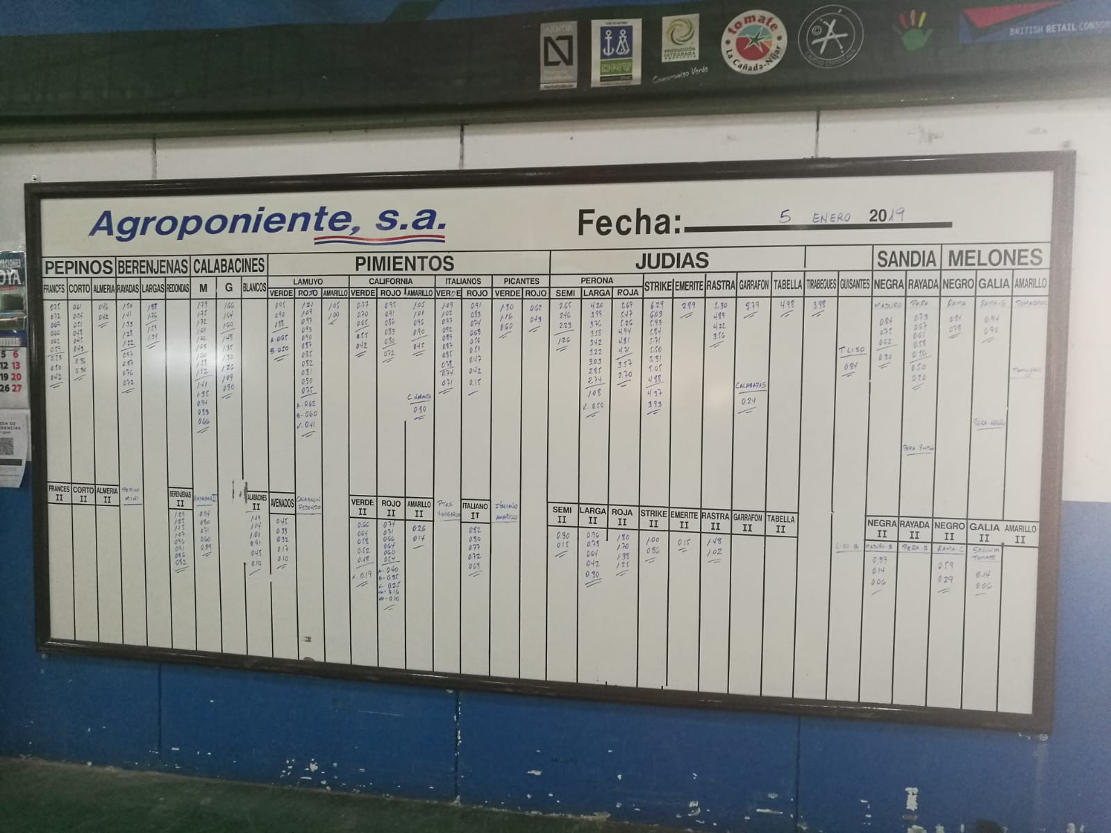 Pizarra Agroponiente La Redonda 5 de Enero 2019