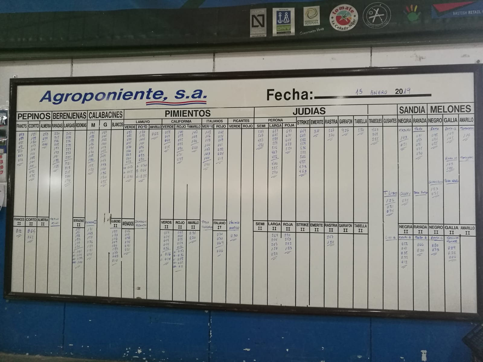 Pizarra Agroponiente La Redonda 15 de Enero 2019