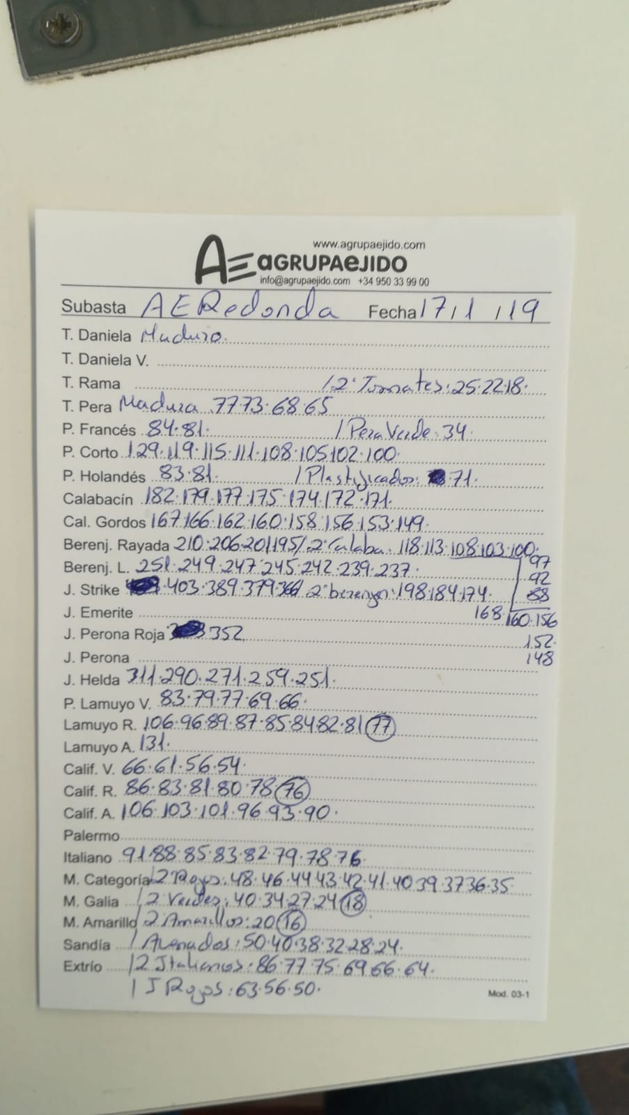 Subasta hortofrutícola AgrupaEjido La Redonda 17 de Enero 2019