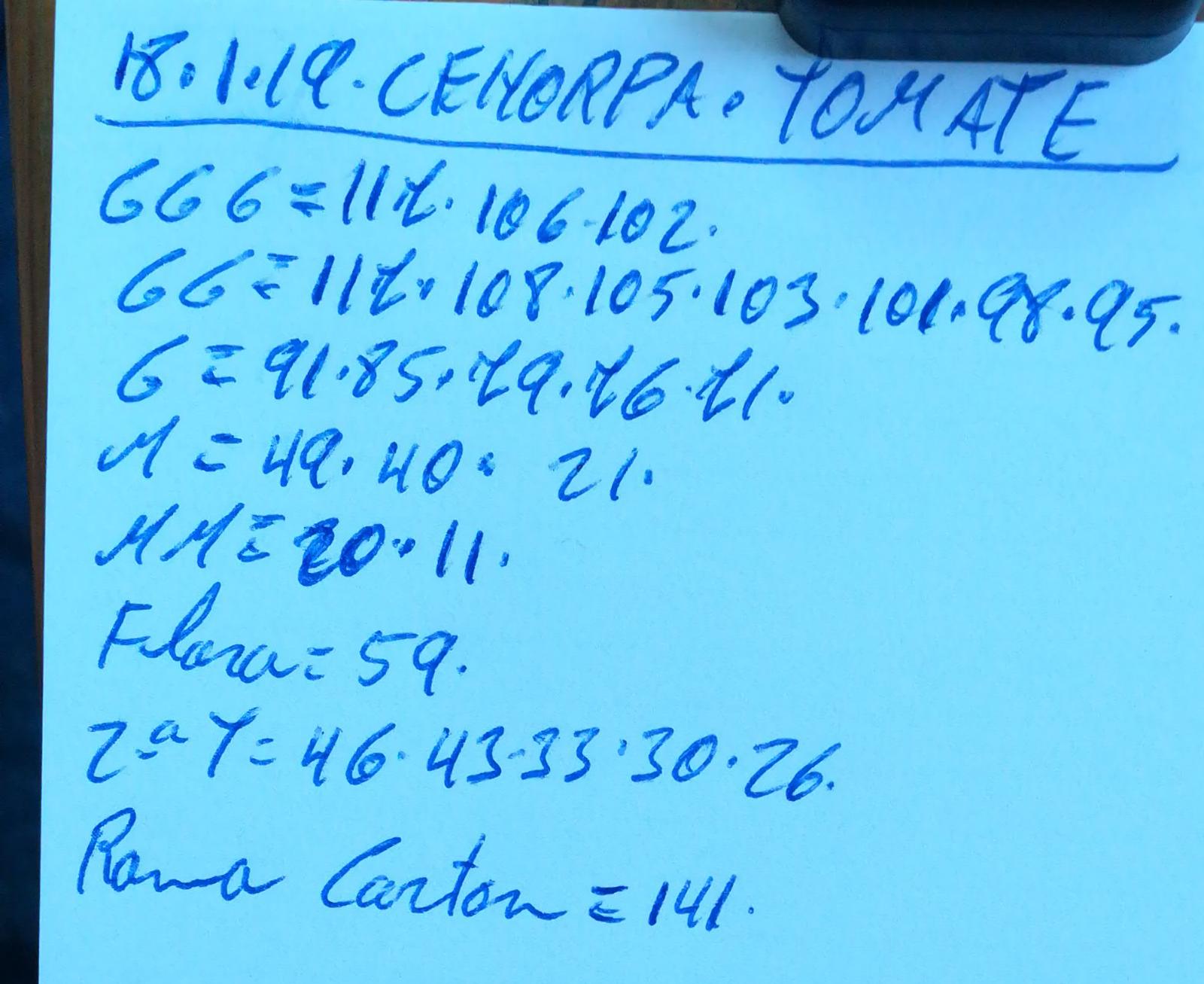 Subasta hortofrutícola Costa de Almería Cehorpa Tomates 18 de Enero 2019