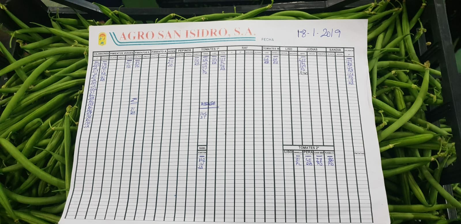 Subasta hortofrutícola Agro San Isidro 18 de Enero 2019