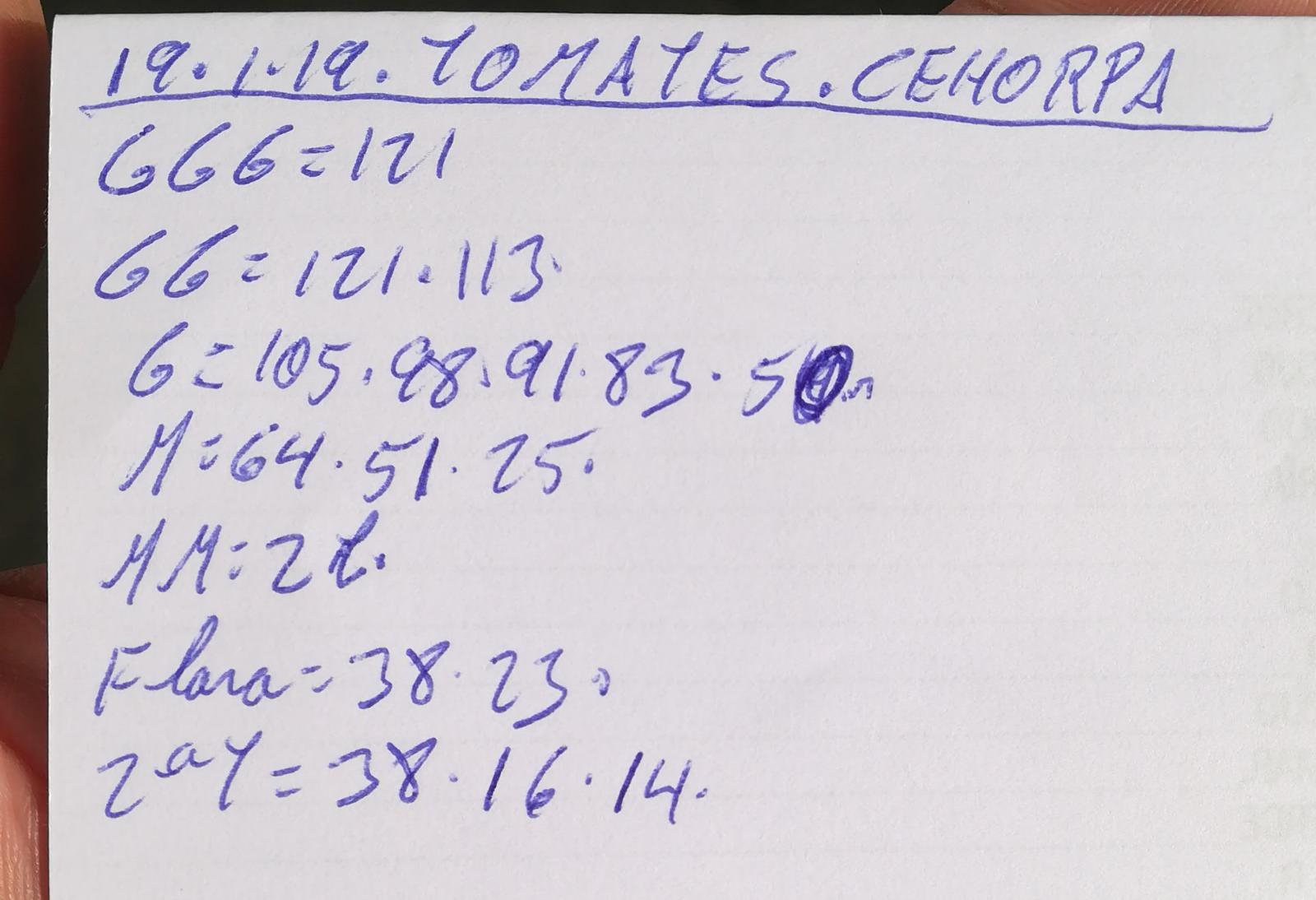 Subasta hortofrutícola Costa de Almería Cehorpa Tomates 19 de Enero 2019