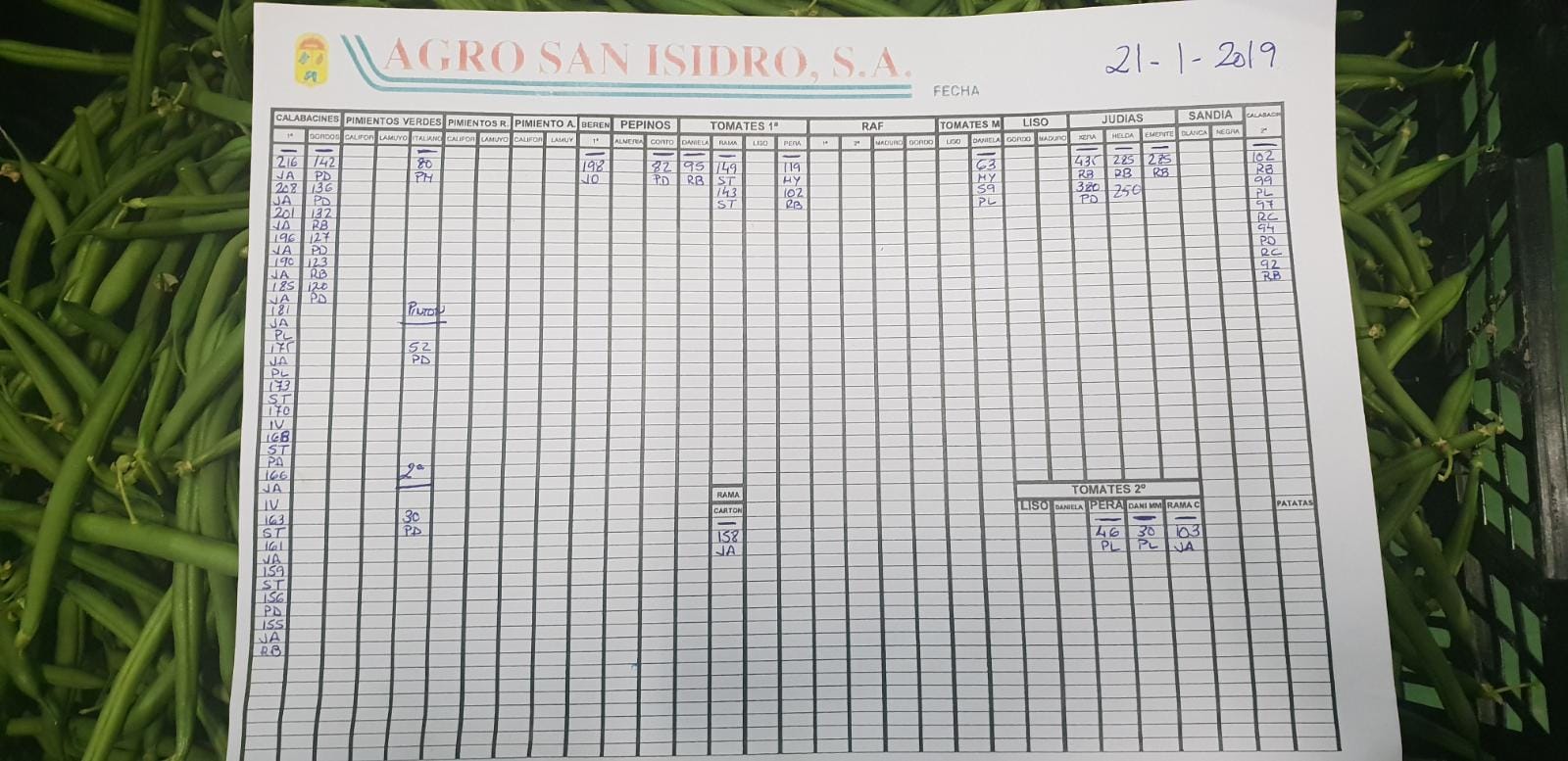 Subasta hortofrutícola Agro San Isidro 21 de Enero 2019