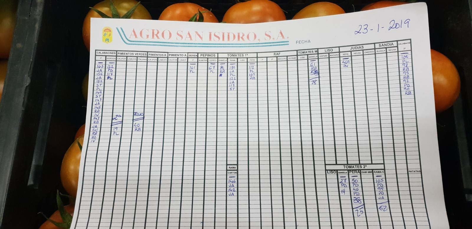 Subasta hortofrutícola Agro San Isidro 23 de Enero 2019