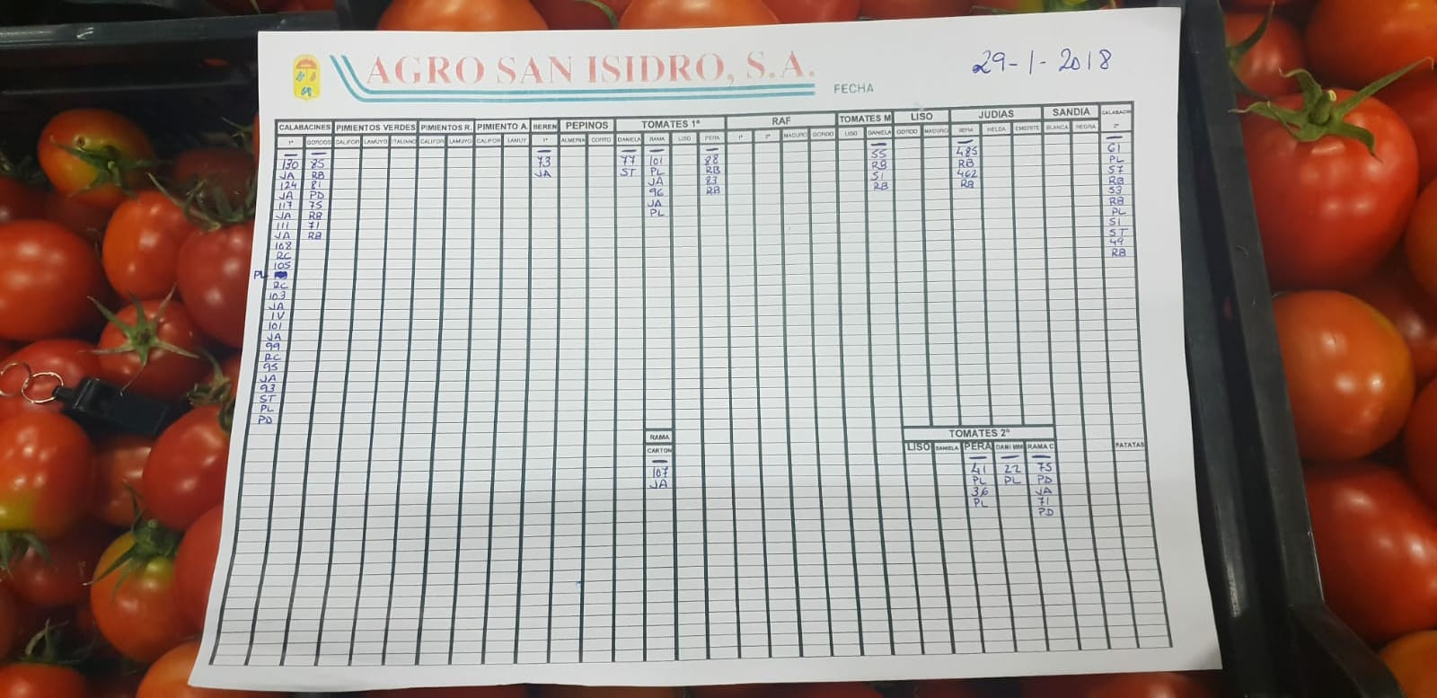 Subasta hortofrutícola Agro San Isidro 29 de Enero 2019