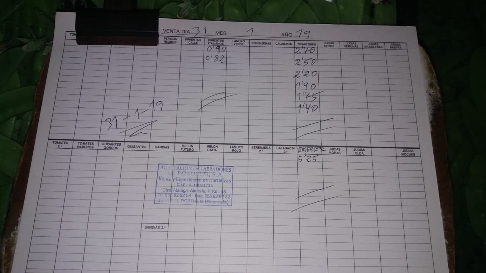 Subasta hortofrutícola El Pozuelo Albuñol 31 de Enero 2019