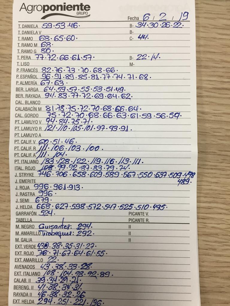 Subasta hortofrutícola Agroponiente La Redonda 6 de Febrero 2019