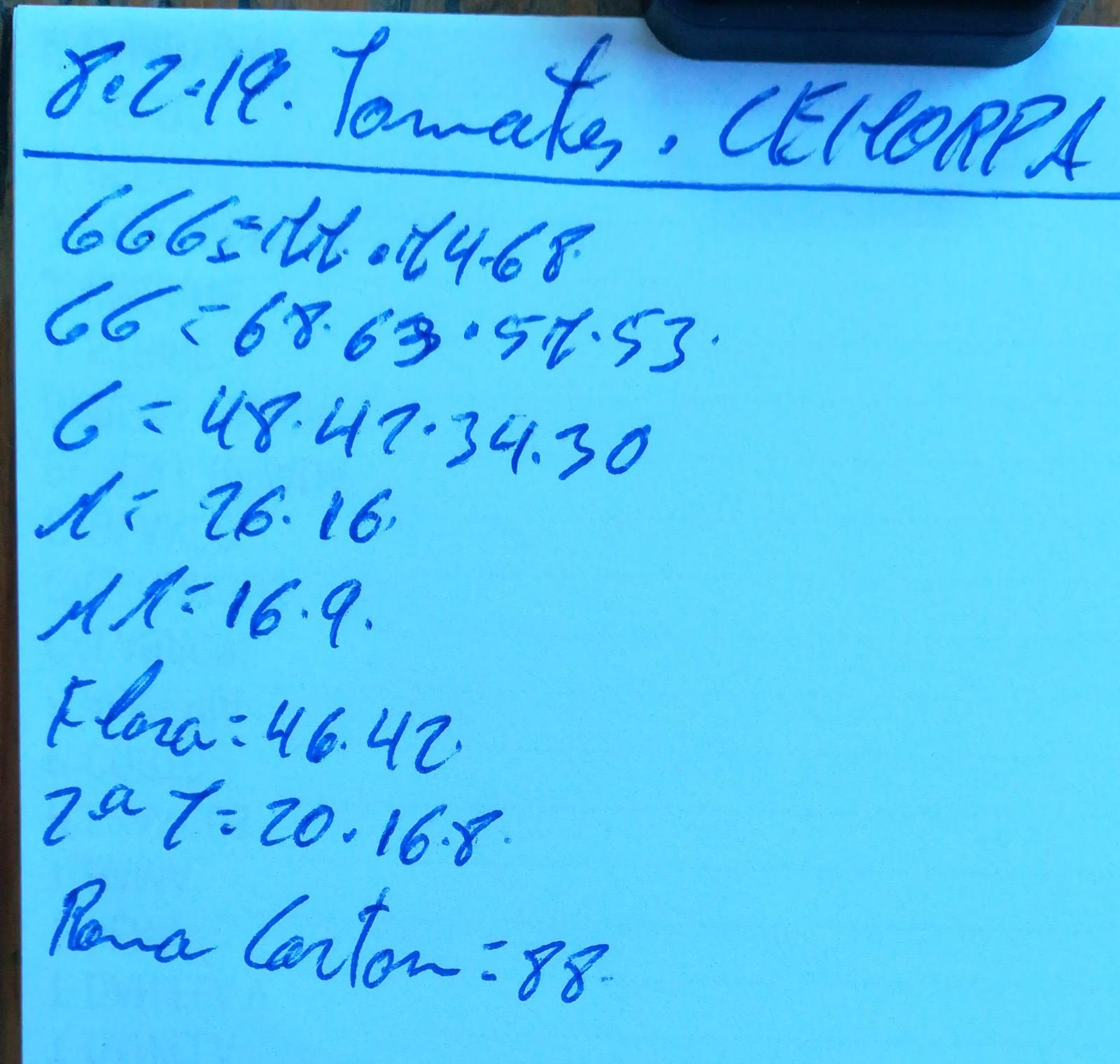 Subasta hortofrutícola Costa de Almería Cehorpa Tomates 8 de Febrero 2019