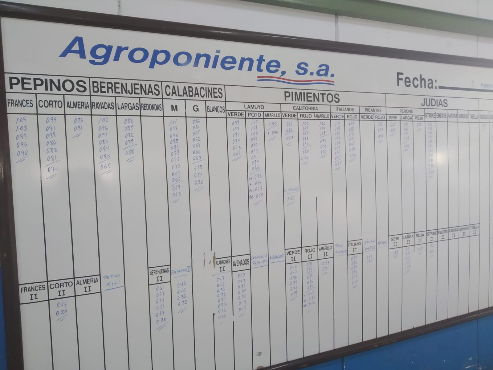 Pizarra Agroponiente La Redonda 8 de Febrero 2019