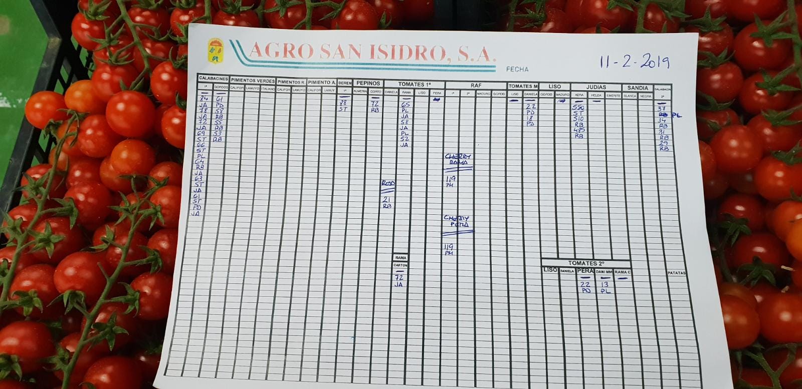 Subasta hortofrutícola Agro San Isidro 11 de Febrero 2019