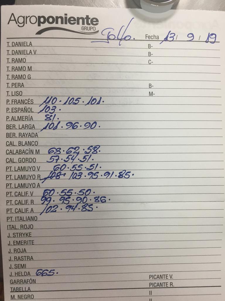 Subasta hortofrutícola Agroponiente El Golfo 13 de Febrero 2019