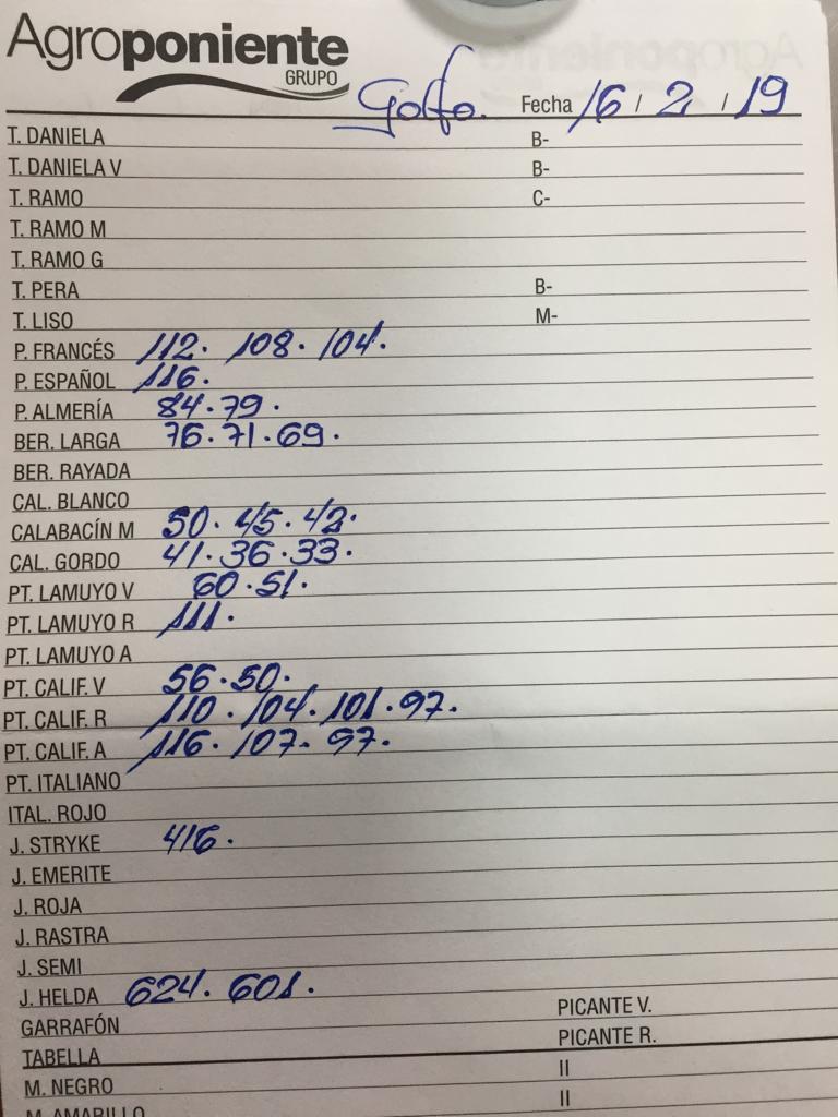 Subasta hortofrutícola Agroponiente El Golfo 16 de Febrero 2019