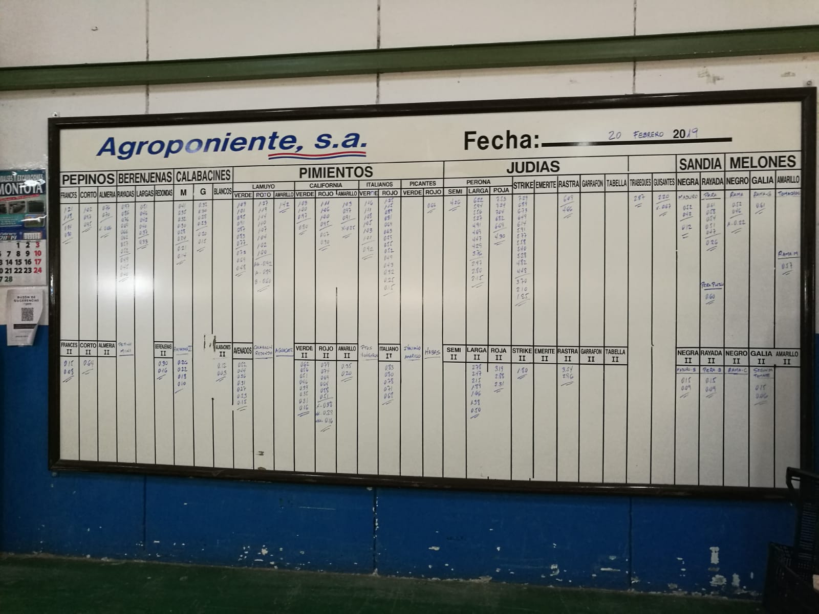 Pizarra Agroponiente La Redonda 20 de Febrero 2019