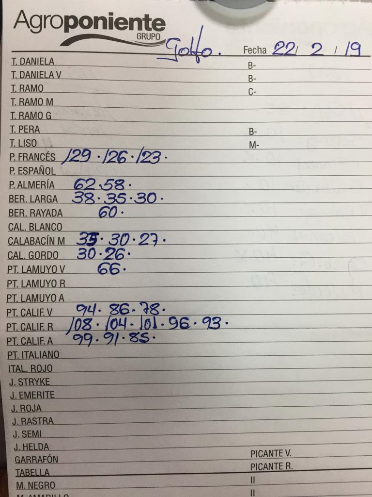 Subasta hortofrutícola Agroponiente El Golfo 22 de Febrero 2019