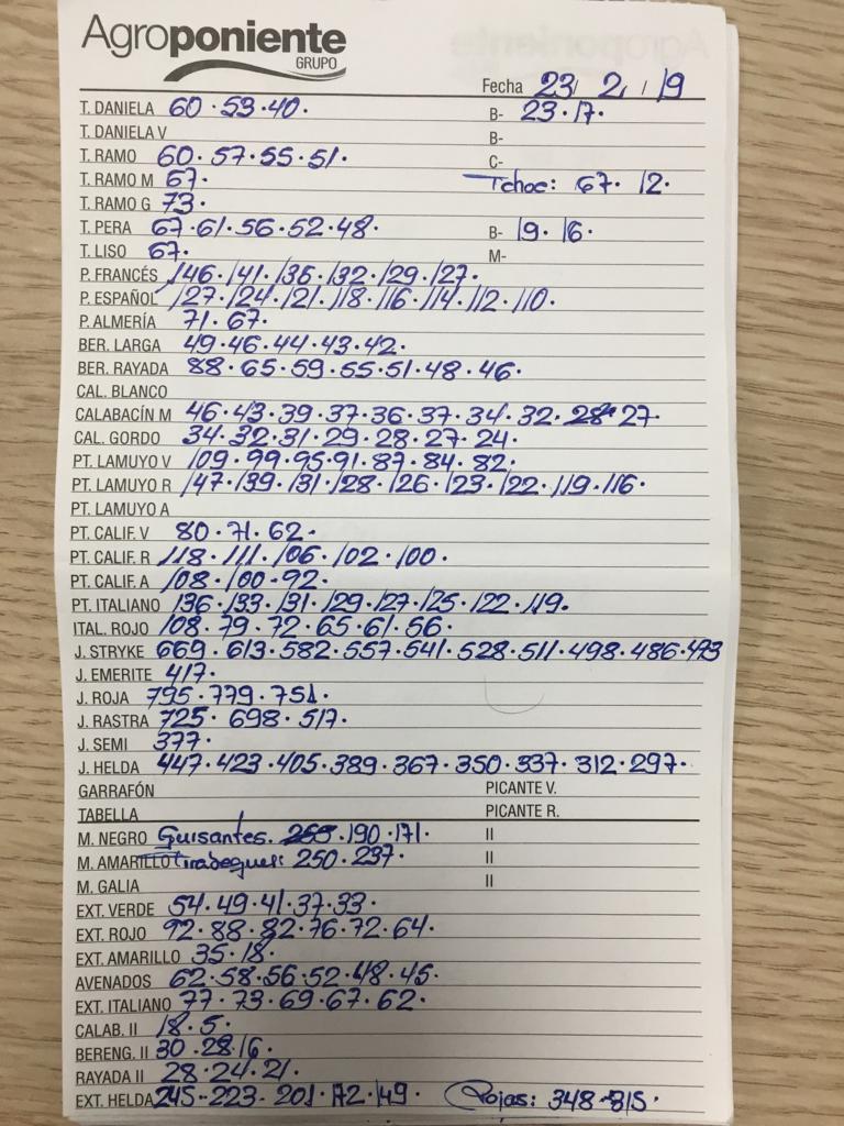 Subasta hortofrutícola Agroponiente La Redonda 23 de Febrero 2019