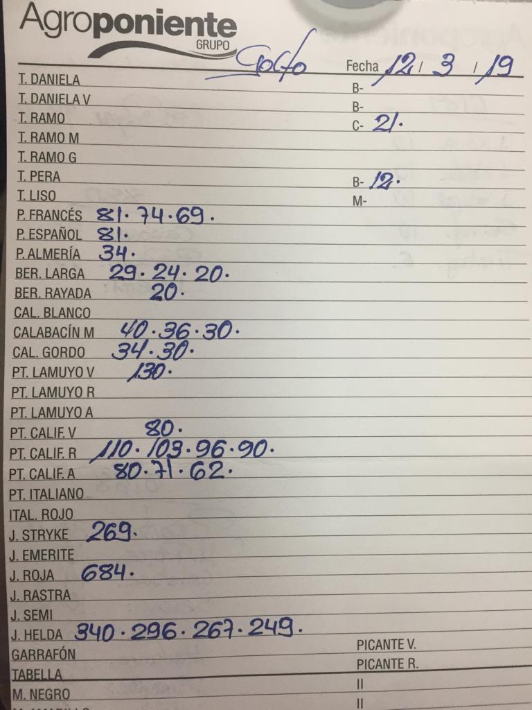 Subasta hortofrutícola Agroponiente El Golfo 12 de Marzo 2019