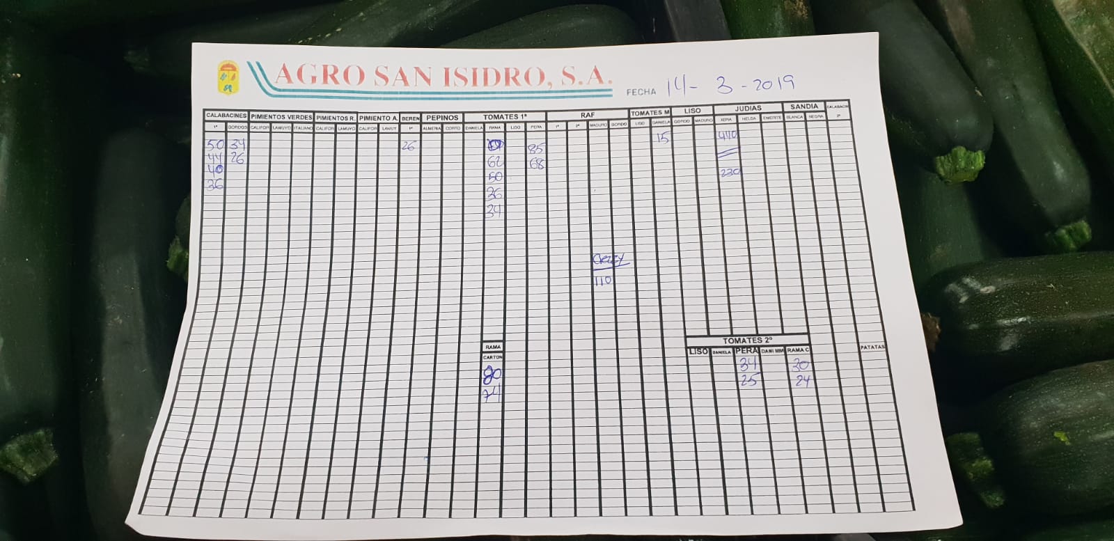 Subasta hortofrutícola Agro San Isidro 14 de Marzo 2019