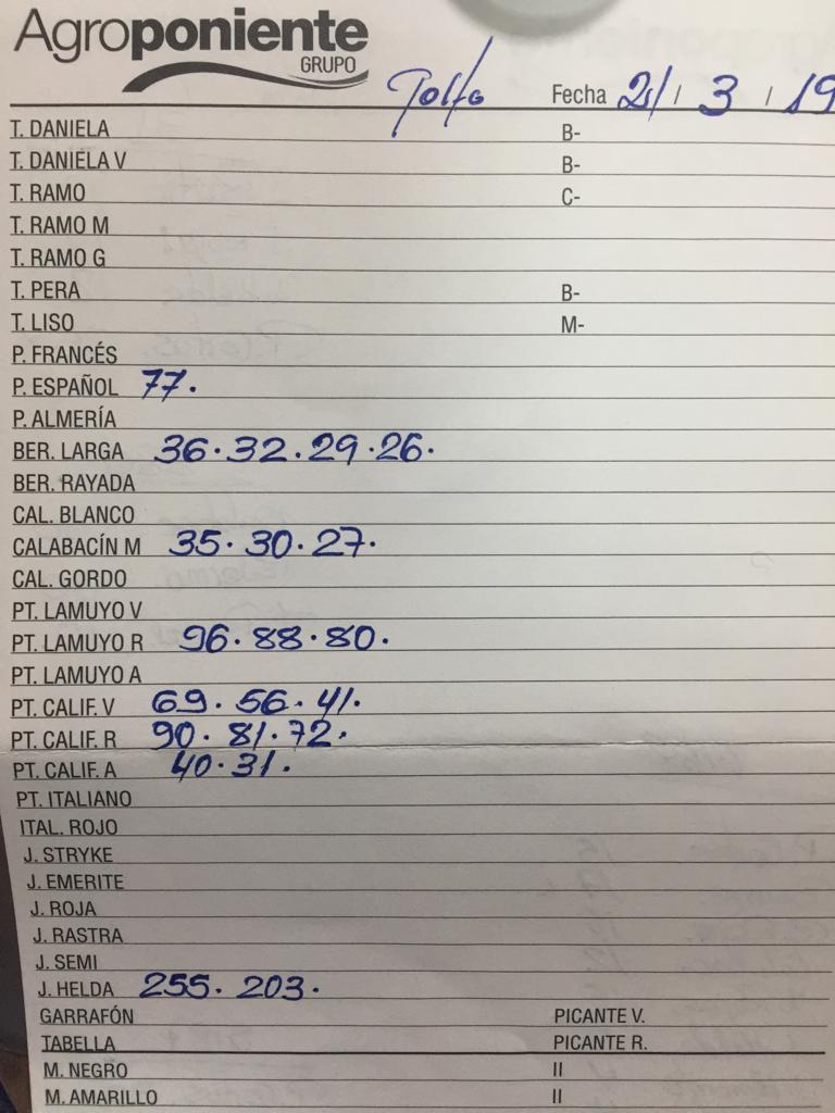 Subasta hortofrutícola Agroponiente El Golfo 21 de Marzo 2019