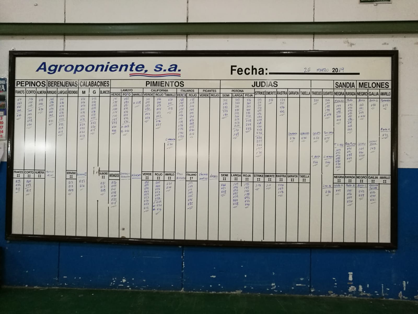 Pizarra Agroponiente La Redonda 26 de Marzo 2019