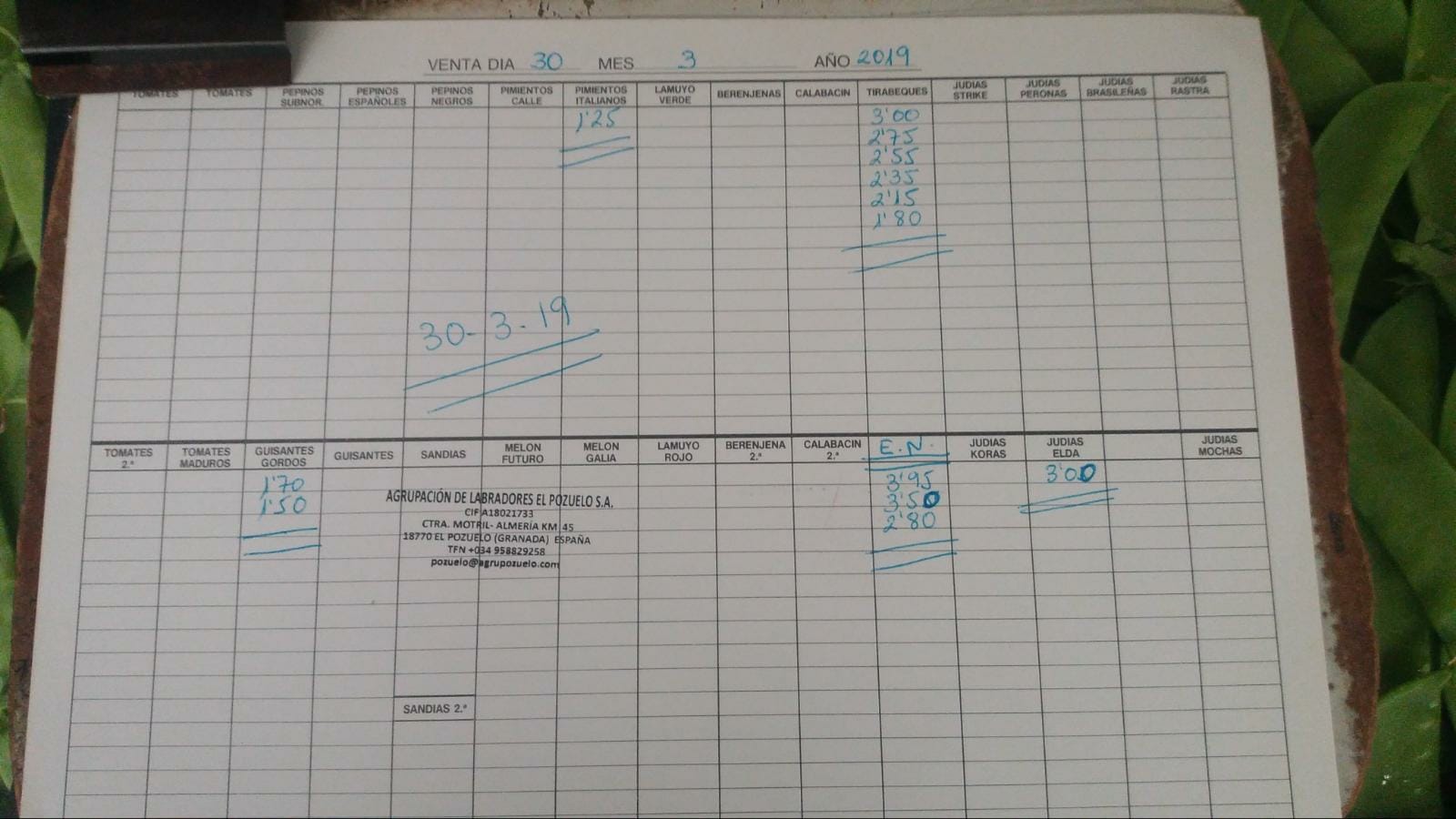 Subasta hortofrutícola El Pozuelo Albuñol 30 de Marzo 2019