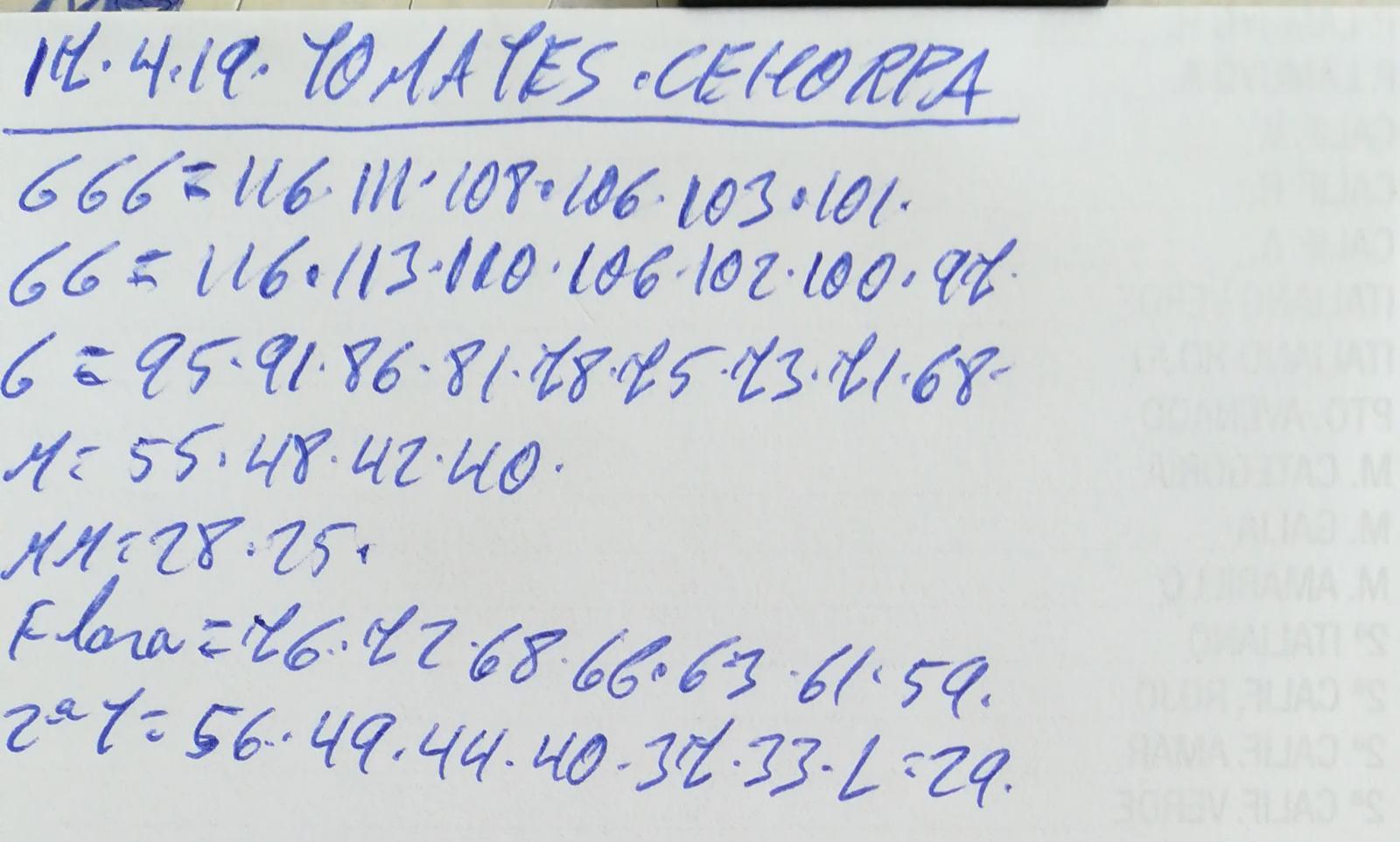 Subasta hortofrutícola Costa de Almería Cehorpa Tomates 17 de Abril 2019