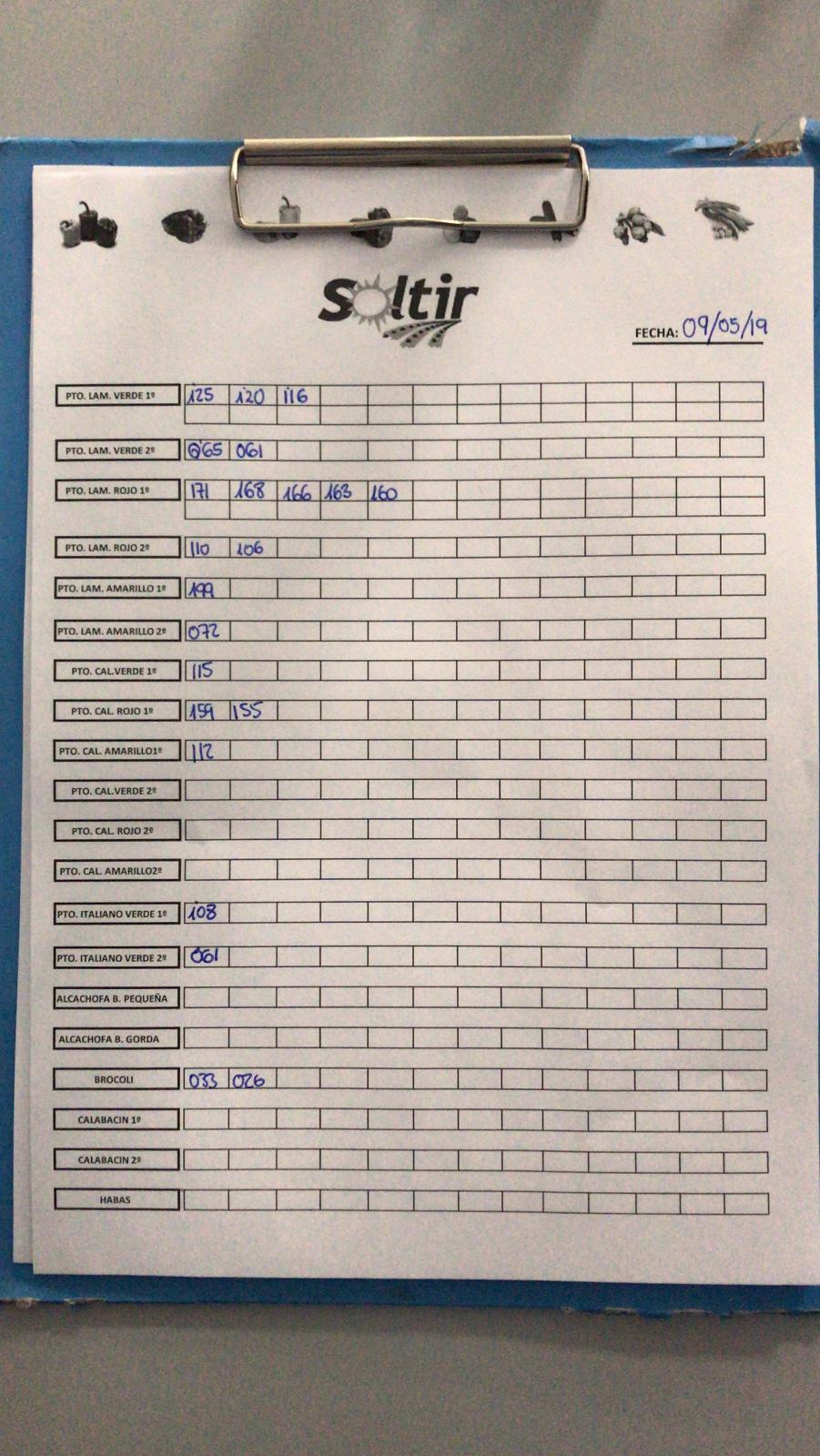 Subasta hortofrutícola Soltir 9 de Mayo 2019