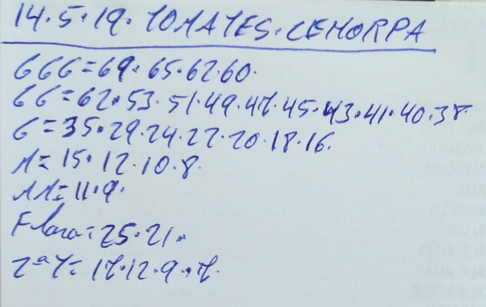 Subasta hortofrutícola Costa de Almería Cehorpa Tomates 14 de Mayo 2019