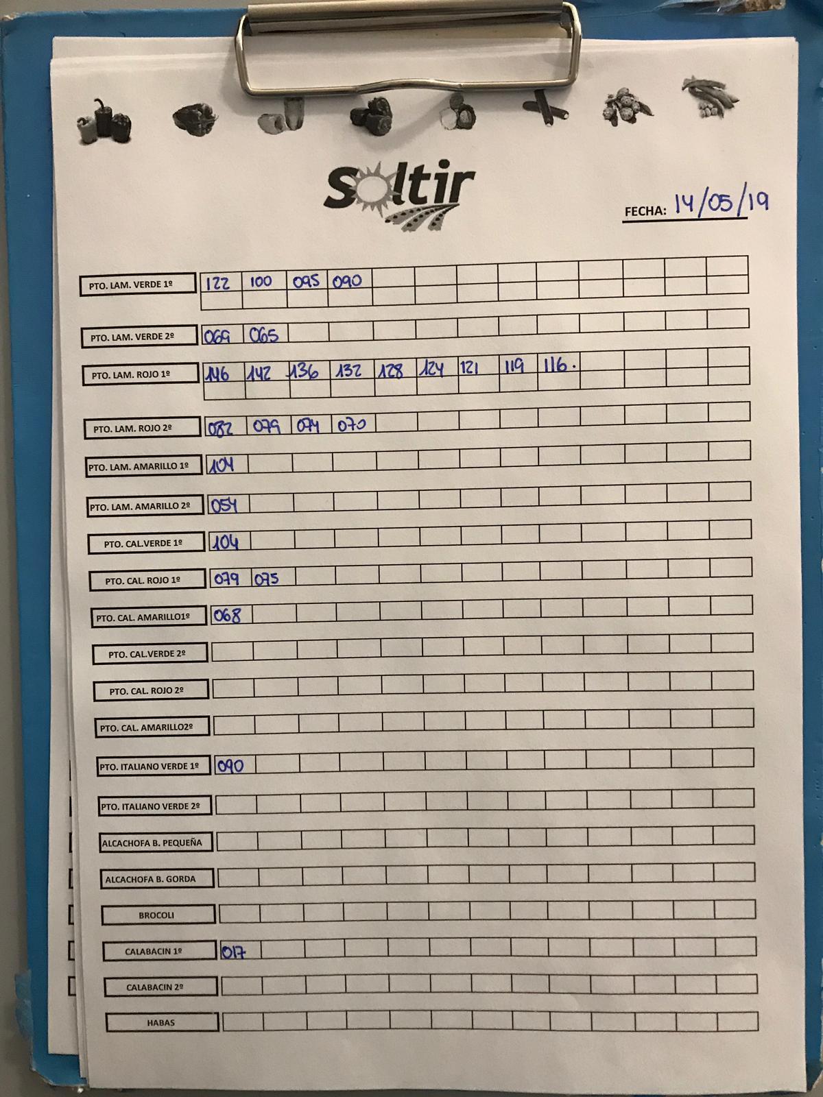 Subasta hortofrutícola Soltir 14 de Mayo 2019