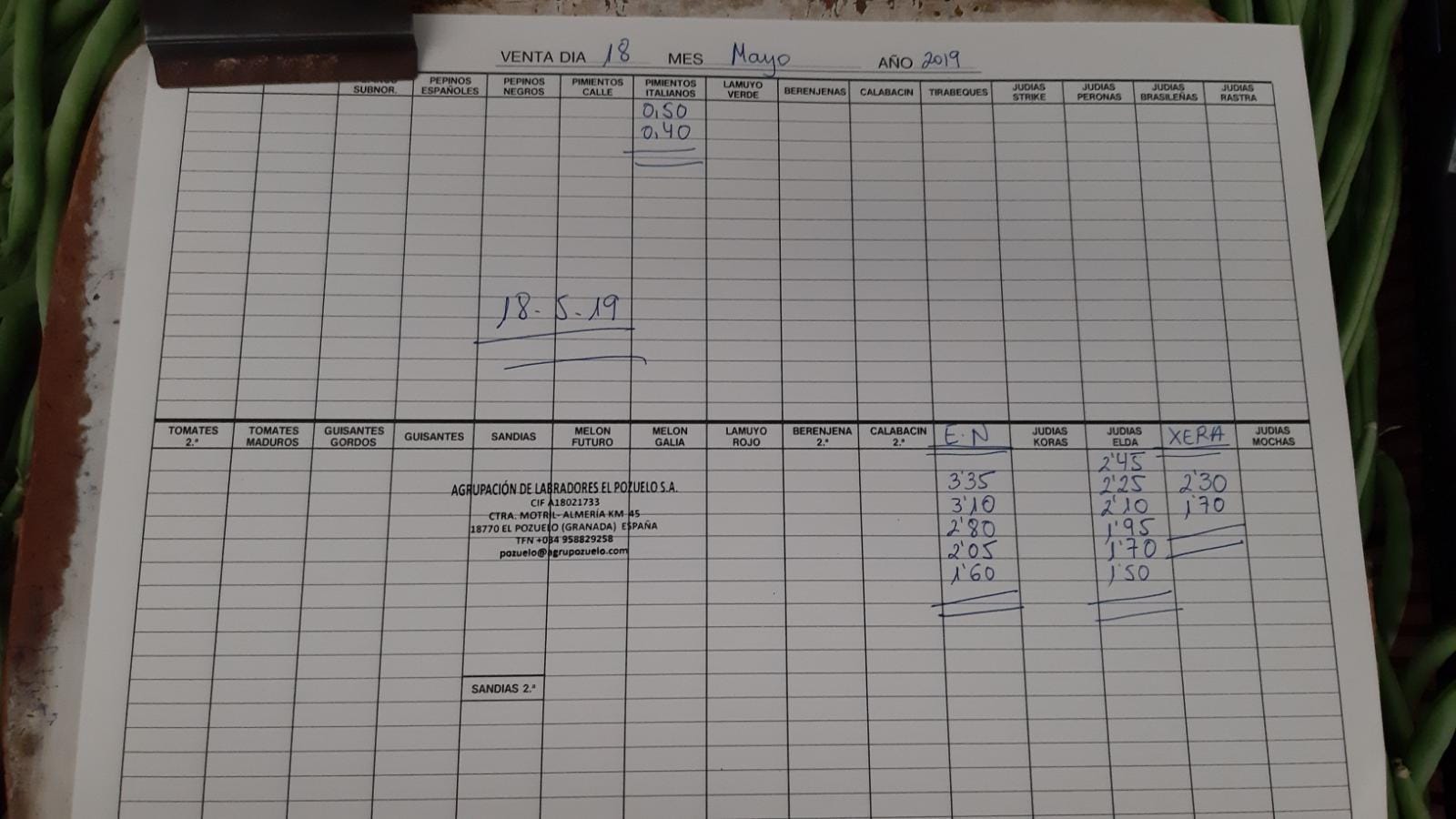 Subasta hortofrutícola El Pozuelo Albuñol 18 de Mayo 2019