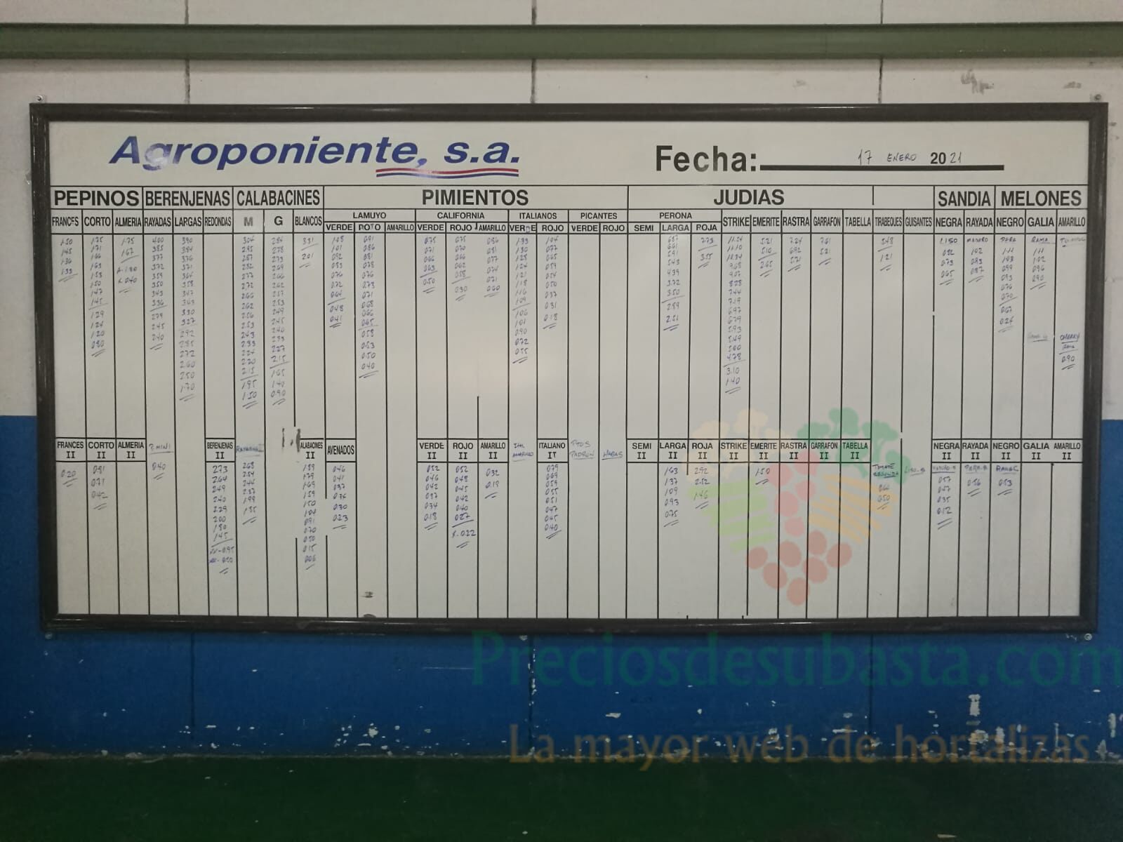 Pizarra Agroponiente La Redonda 16 de enero 2021