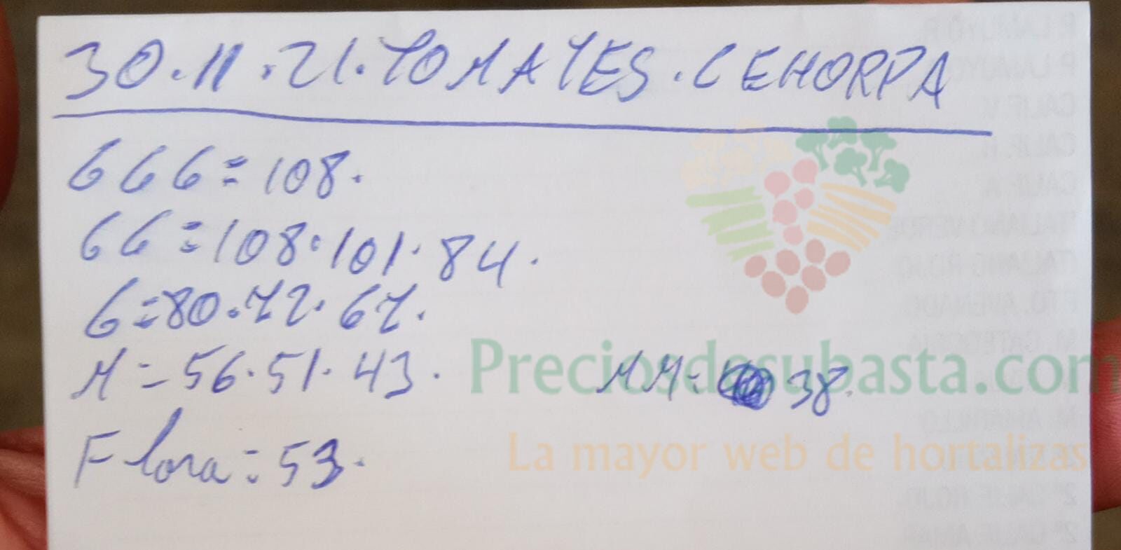 Subasta hortofrutícola Costa de Almería Cehorpa tomates 30 de noviembre 2021