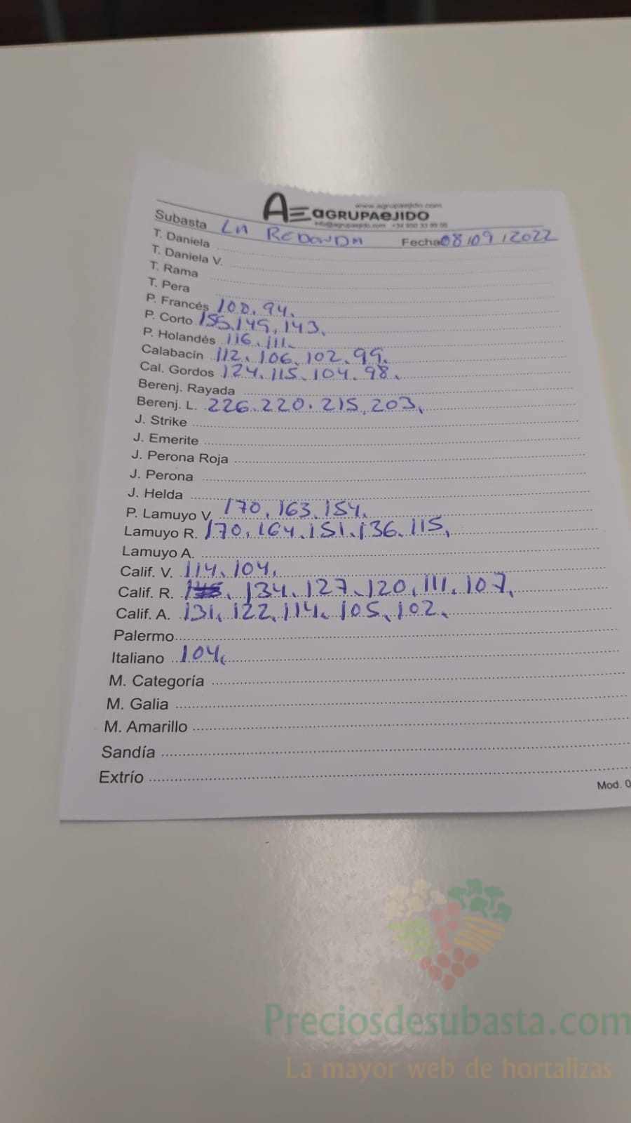 Subasta hortofrutícola AgrupaEjido La redonda 8 de septiembre 2022